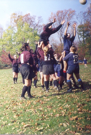 lineout