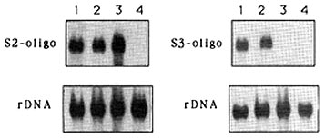 figure 2a