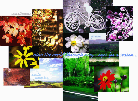 collage