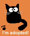 My virtual pet cat Nevin Katz