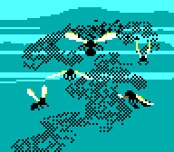 Insects
