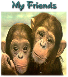 My Friends