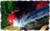 feather
