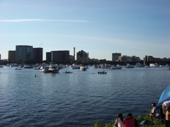 IMGP0081.JPG