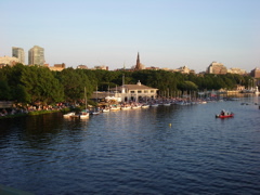 IMGP0093.JPG