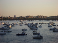 IMGP0096.JPG