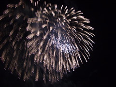 IMGP0113.JPG