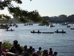 IMGP0084.JPG