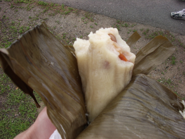 IMGP0048.JPG