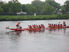 IMGP0042.JPG