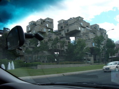 IMGP0129.JPG