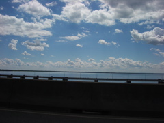 IMGP0130.JPG