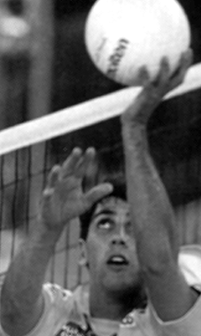 [pic of an italian
setter]