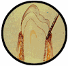 The Gradual Decay of Gums and Onset of Gum Disease